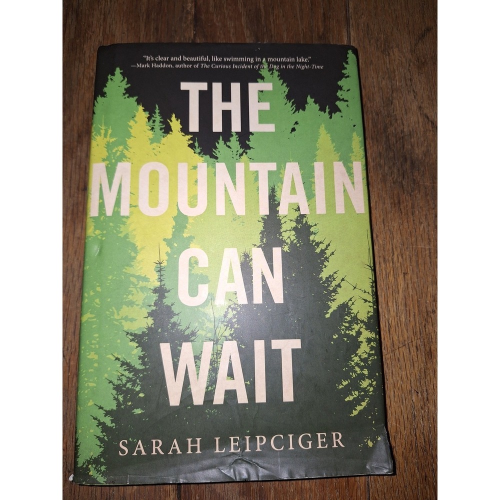 The Mountain Can Wait by Sarah Leipciger Hardcover First Edition 2015 Fiction